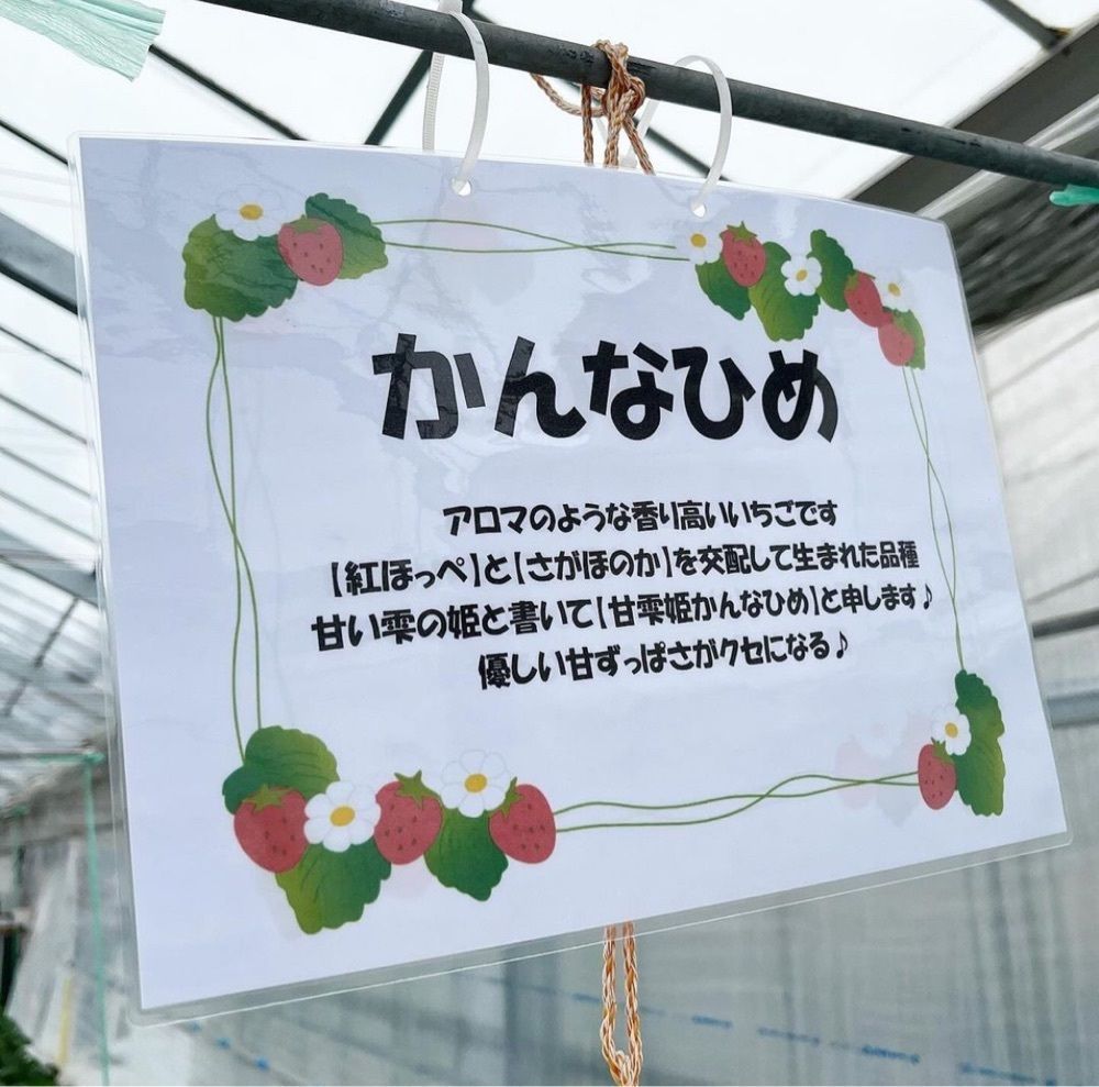 kaze_gourmetさんが投稿した村上いちご園に関する口コミの画像