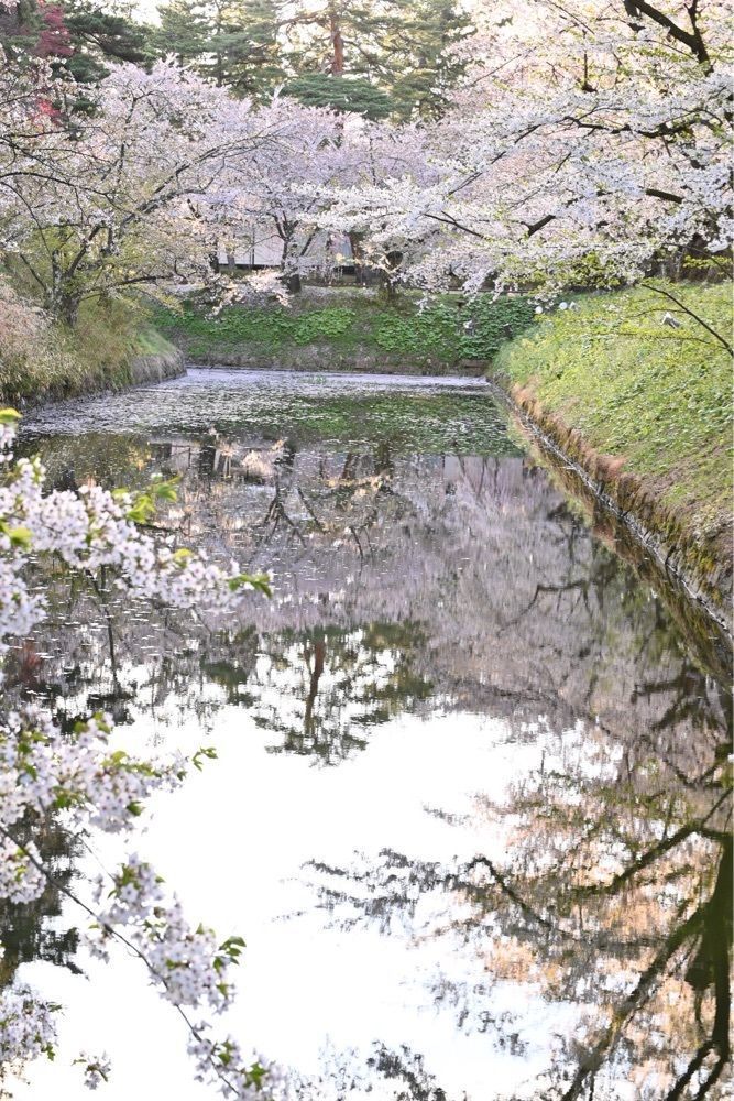 佳さんが投稿した弘前城植物園に関する口コミの画像