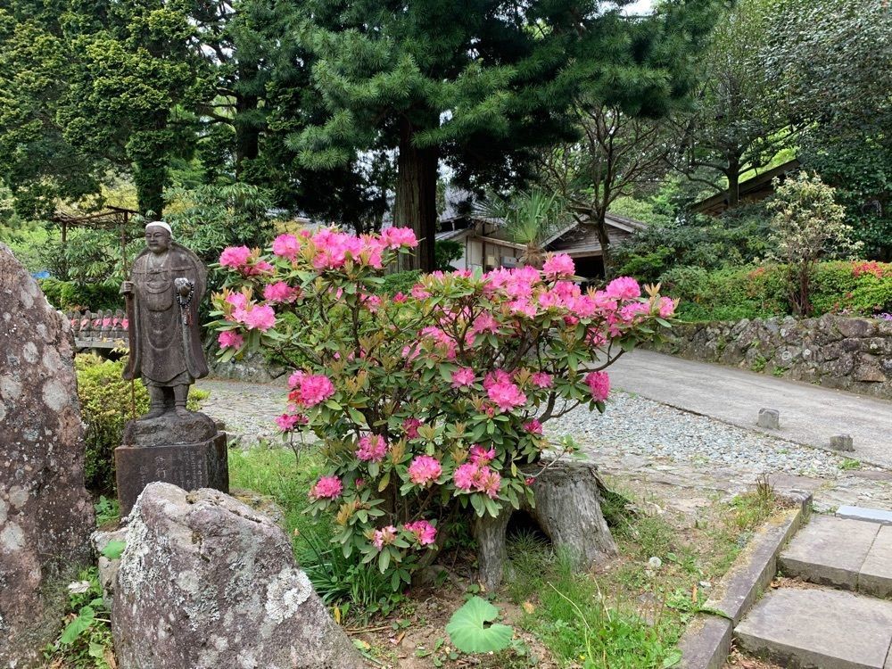 formal_cafeteria_8688さんが投稿した神角寺のシャクナゲに関する口コミの画像