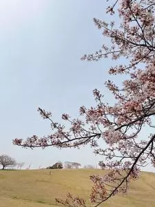 加護坊山