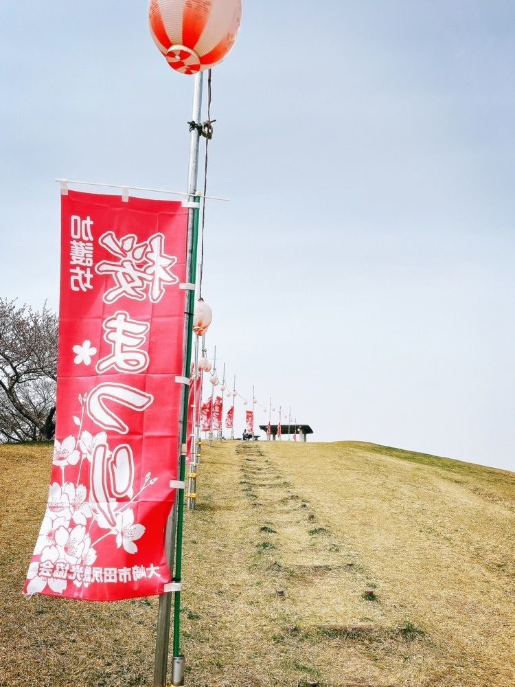 猫なぎ。さんが投稿した加護坊山に関する口コミの画像