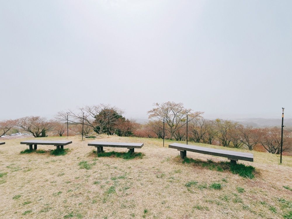 猫なぎ。さんが投稿した加護坊山に関する口コミの画像