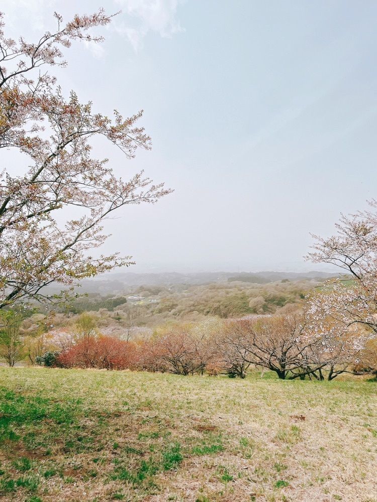猫なぎ。さんが投稿した加護坊山に関する口コミの画像