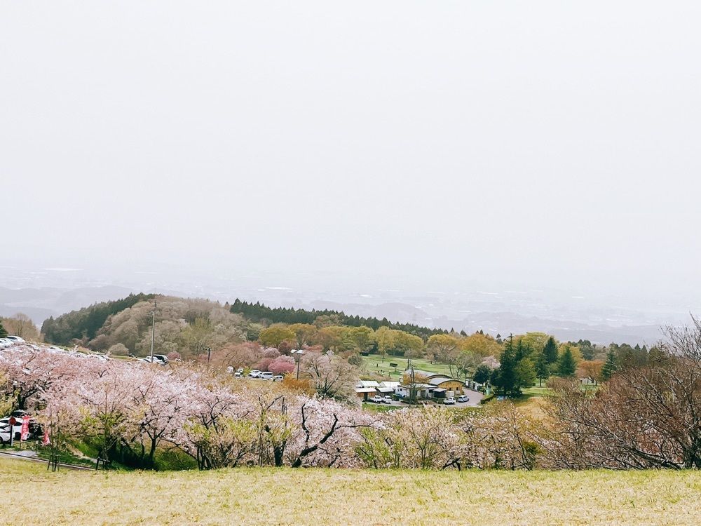 猫なぎ。さんが投稿した加護坊山に関する口コミの画像