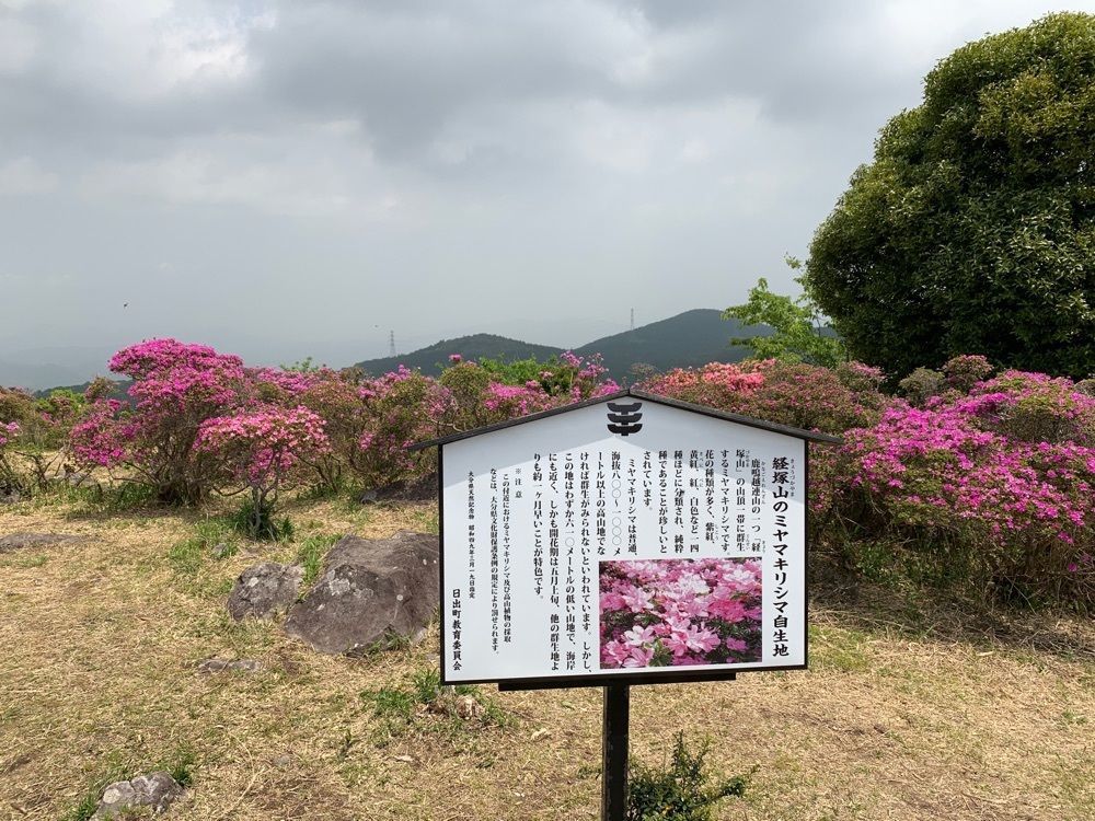formal_cafeteria_8688さんが投稿した経塚山に関する口コミの画像
