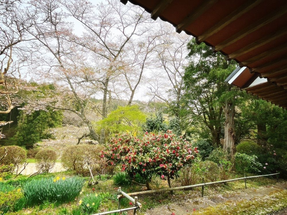 猫なぎ。さんが投稿した咲楽亭に関する口コミの画像