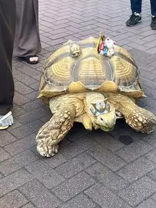 月島もんじゃストリート