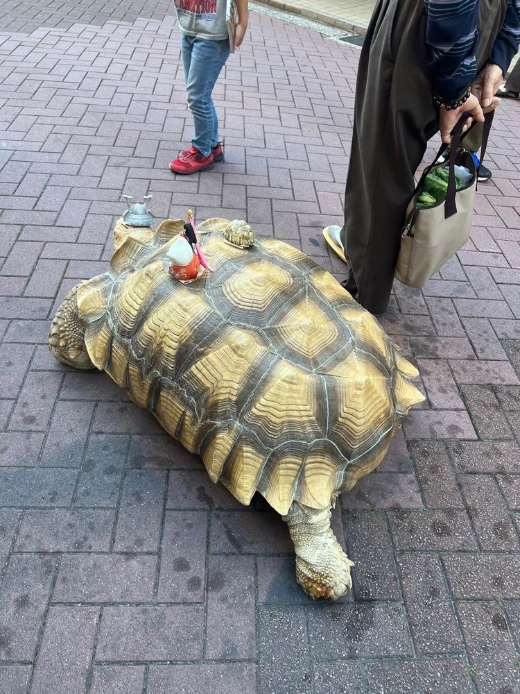 🤎アイヒンまま🤎さんが投稿した月島もんじゃストリートに関する口コミの画像