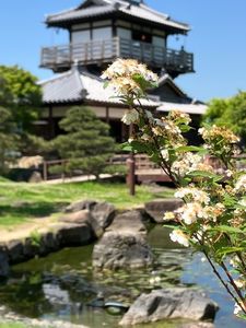 池田城址公園 2枚目