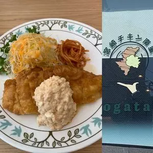 宮崎チキン南蛮ogata