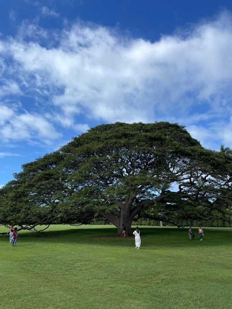 powerful_gift_4f3aさんが投稿したHyatt Regency Waikiki Resort & Spaに関する口コミの画像