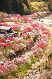 野熊の庄月川