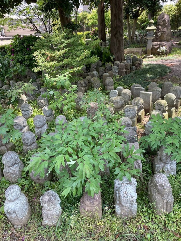 らぐ🏉🍺ビアさんが投稿したむぎこ（mugico）に関する口コミの画像