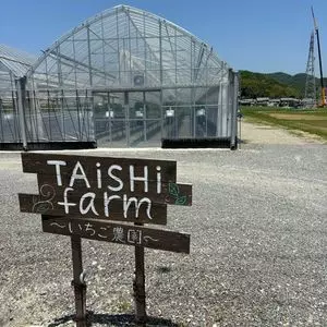 TAiSHi farm