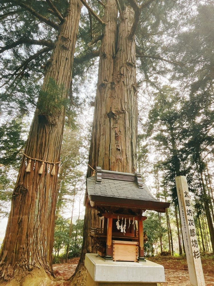 猫なぎ。さんが投稿した八幡神社（宮城県登米市）に関する口コミの画像