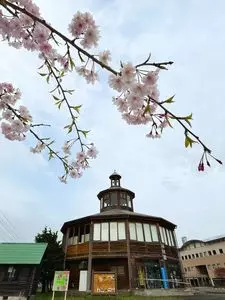 道の駅 林林館 森の茶屋