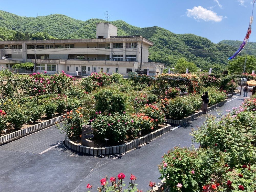 うーとらマンさんが投稿した和気美しい森に関する口コミの画像