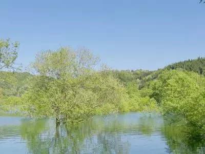 白川ダム湖畔オートキャンプ場
