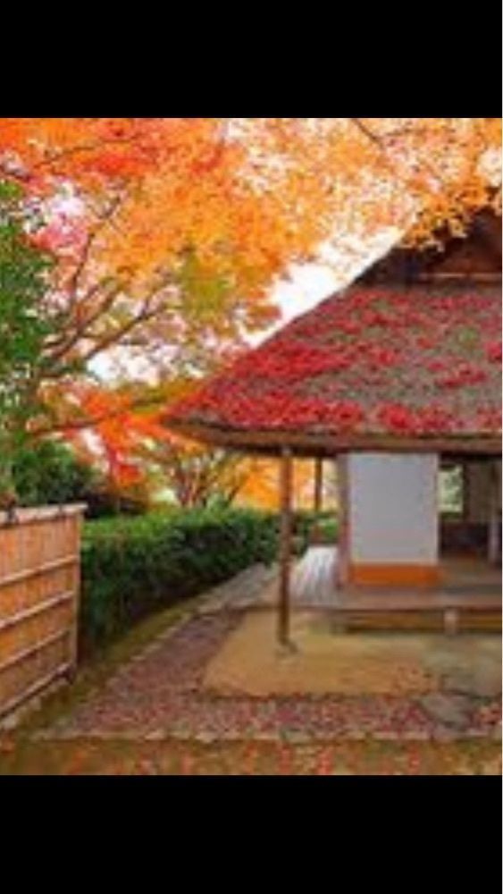 京都を巡る会・「武」さんが投稿した八大神社に関する口コミの画像