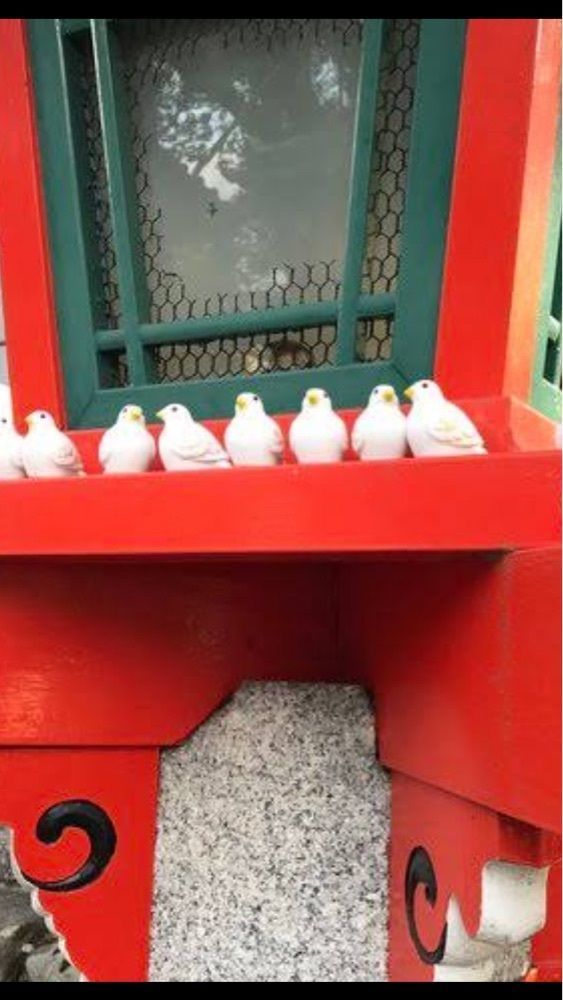 京都を巡る会・「武」さんが投稿した三宅八幡宮に関する口コミの画像