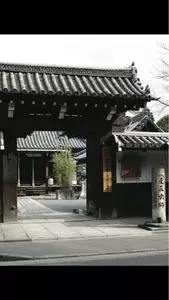 廬山寺の桔梗