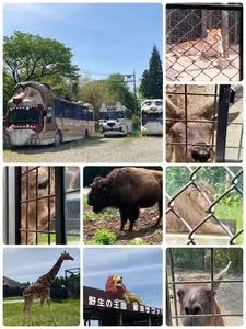 那須サファリパーク