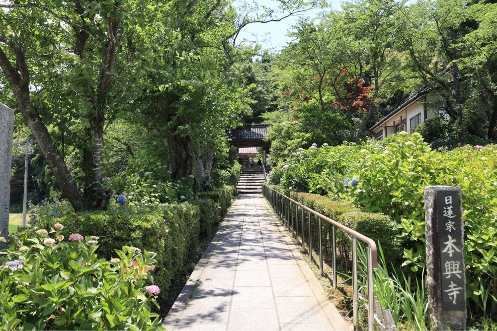 でぃーごさんが投稿した本興寺に関する口コミの画像