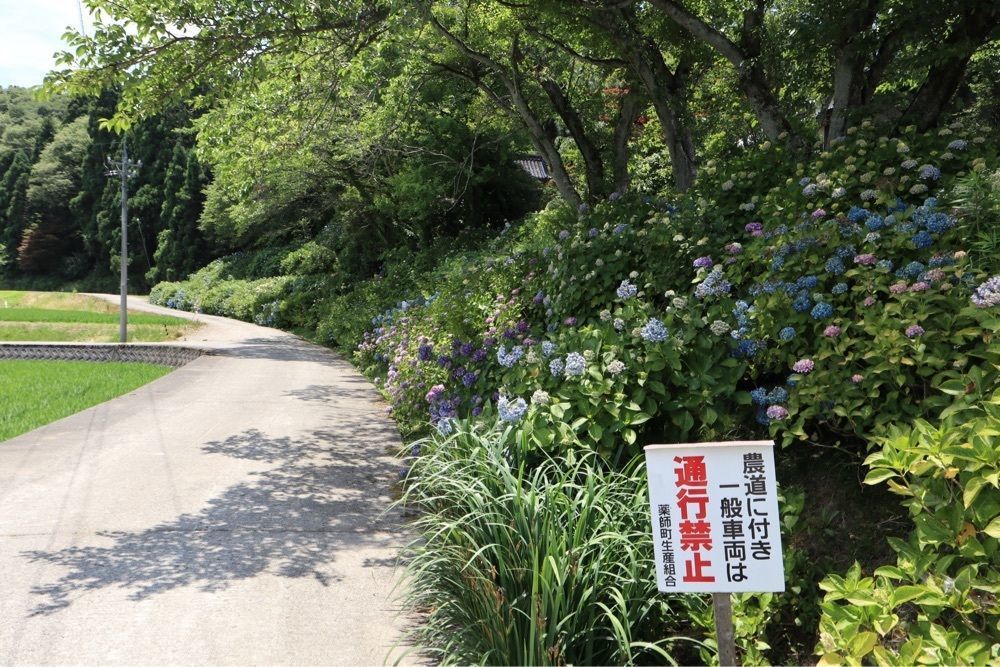 でぃーごさんが投稿した本興寺に関する口コミの画像