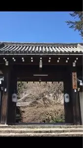 実相院門跡