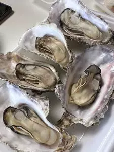 杉原功商店