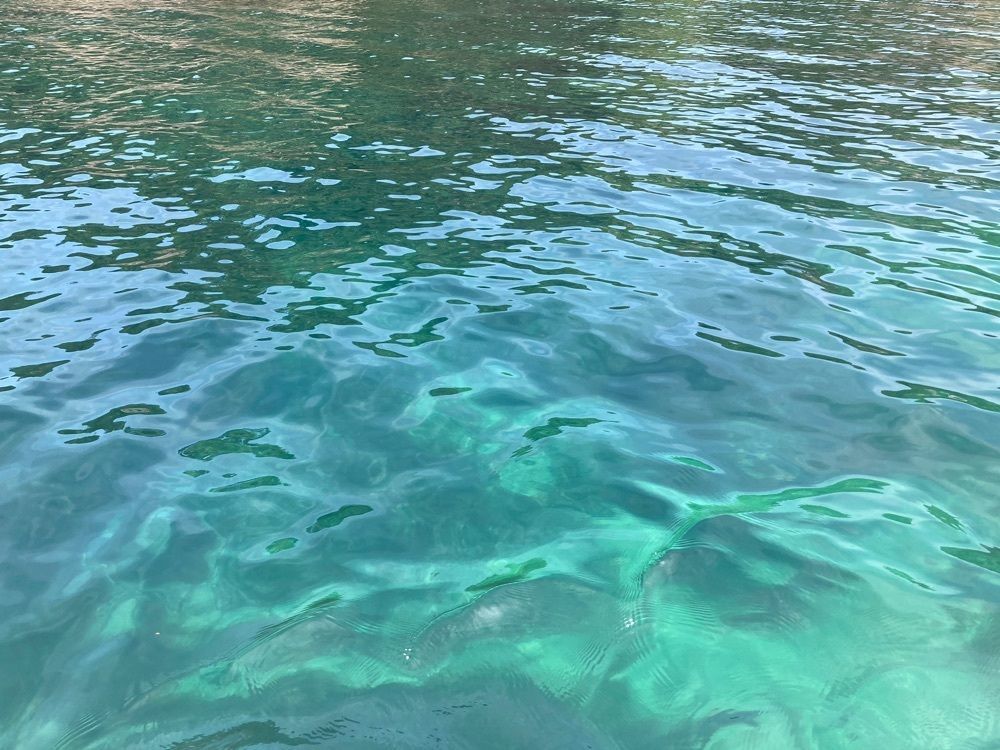 ふみさんが投稿した浦富海岸島めぐり遊覧船に関する口コミの画像