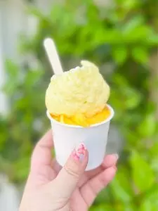 スペールフルッタ（SUPERFRUTTO）