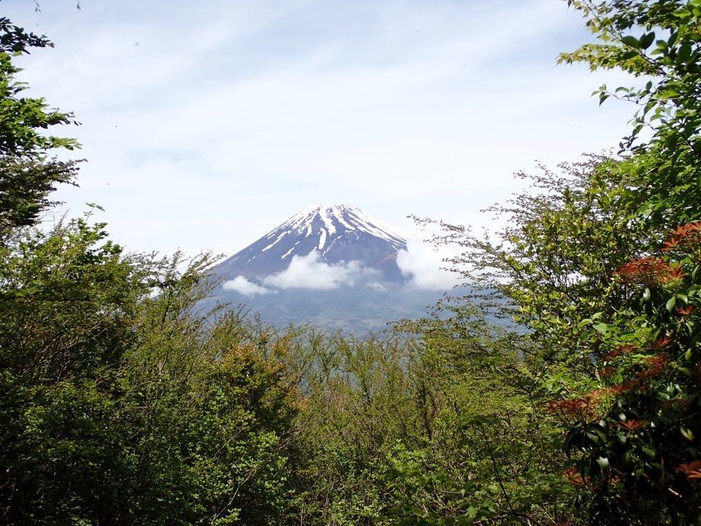 Howl Monさんが投稿した愛鷹山に関する口コミの画像