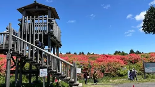 船窪つつじ公園