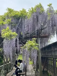 レストラン．たかとんぼ