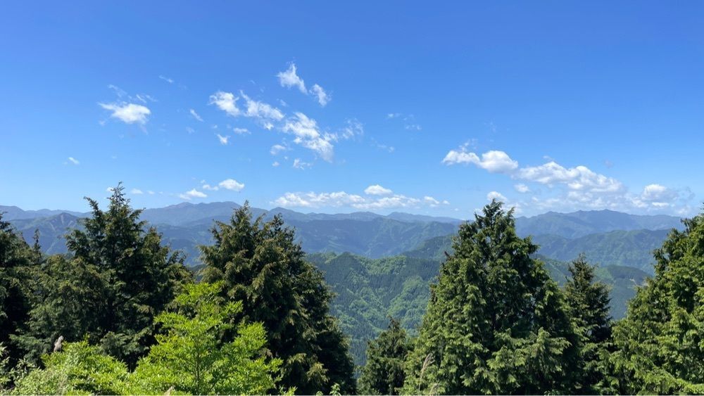みぃさんが投稿した船窪のオンツツジ群落に関する口コミの画像