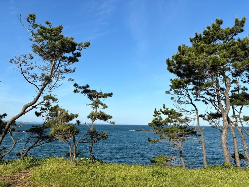 それなはとけさんが投稿した波戸岬に関する口コミの画像