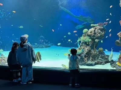 マリホ水族館