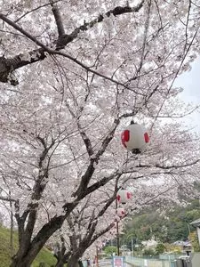 山中渓