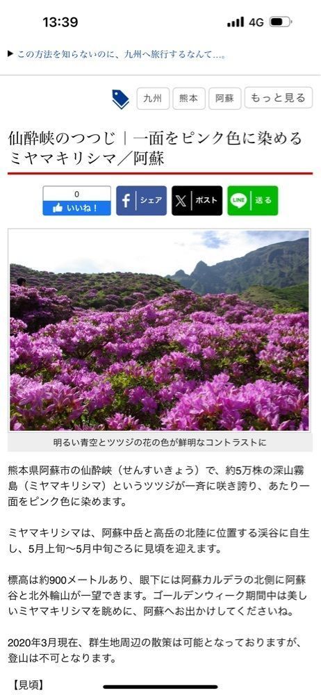 それなはとけさんが投稿した果実の国 カップルズ（カジツノクニ カップルズ）に関する口コミの画像