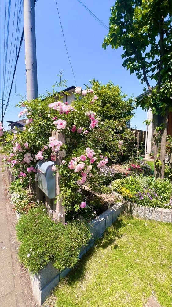 miiさんが投稿したけやき寿司に関する口コミの画像
