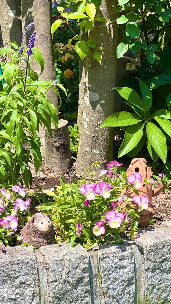 miiさんが投稿したけやき寿司に関する口コミの画像
