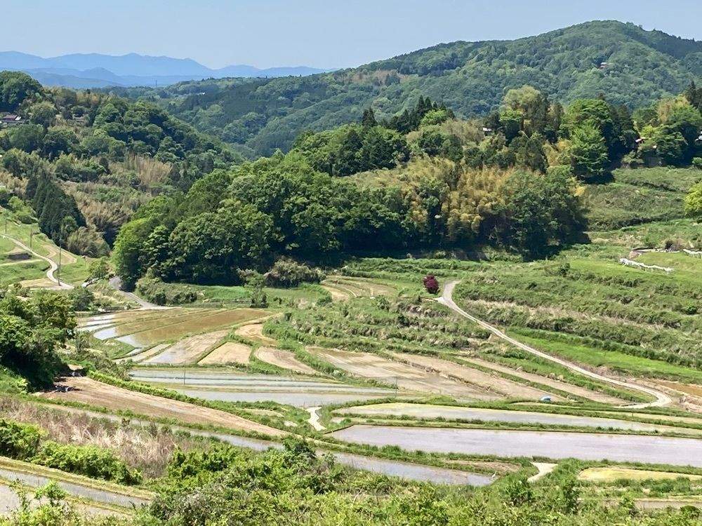 うーとらマンさんが投稿した美咲町・大垪和西の棚田に関する口コミの画像