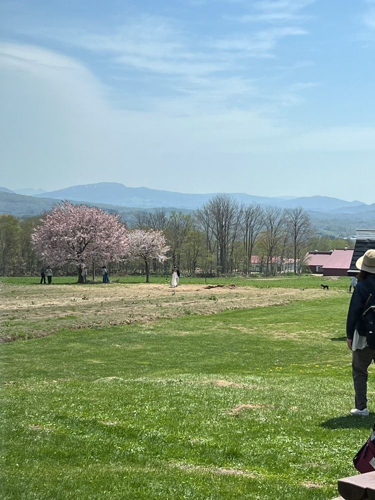 JINmayuさんが投稿したニセコ高橋牧場レストラン PRATIVO（プラティーヴォ）に関する口コミの画像