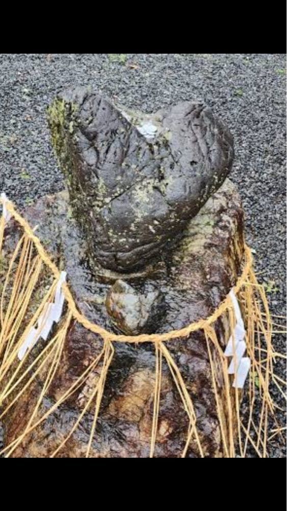 京都を巡る会・「武」さんが投稿した若宮八幡宮社に関する口コミの画像