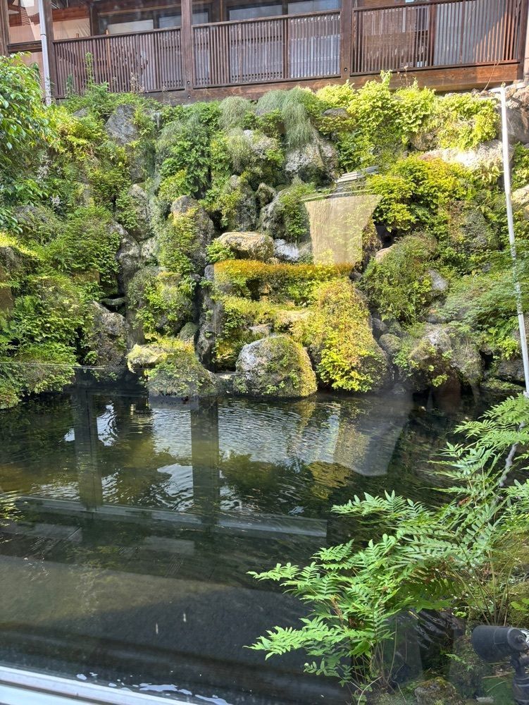 それなはとけさんが投稿した阿蘇白水温泉　瑠璃に関する口コミの画像