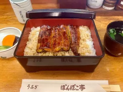 ぽんぽこ亭（ぽんぽこてい）