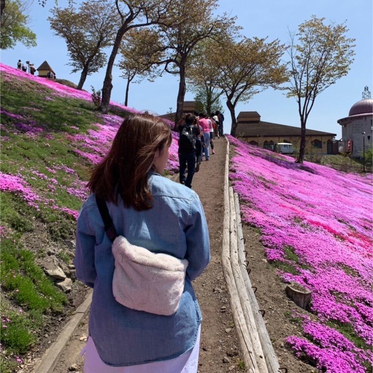 rural_market_0cbaさんが投稿した芝ざくら滝上公園の芝ざくらに関する口コミの画像