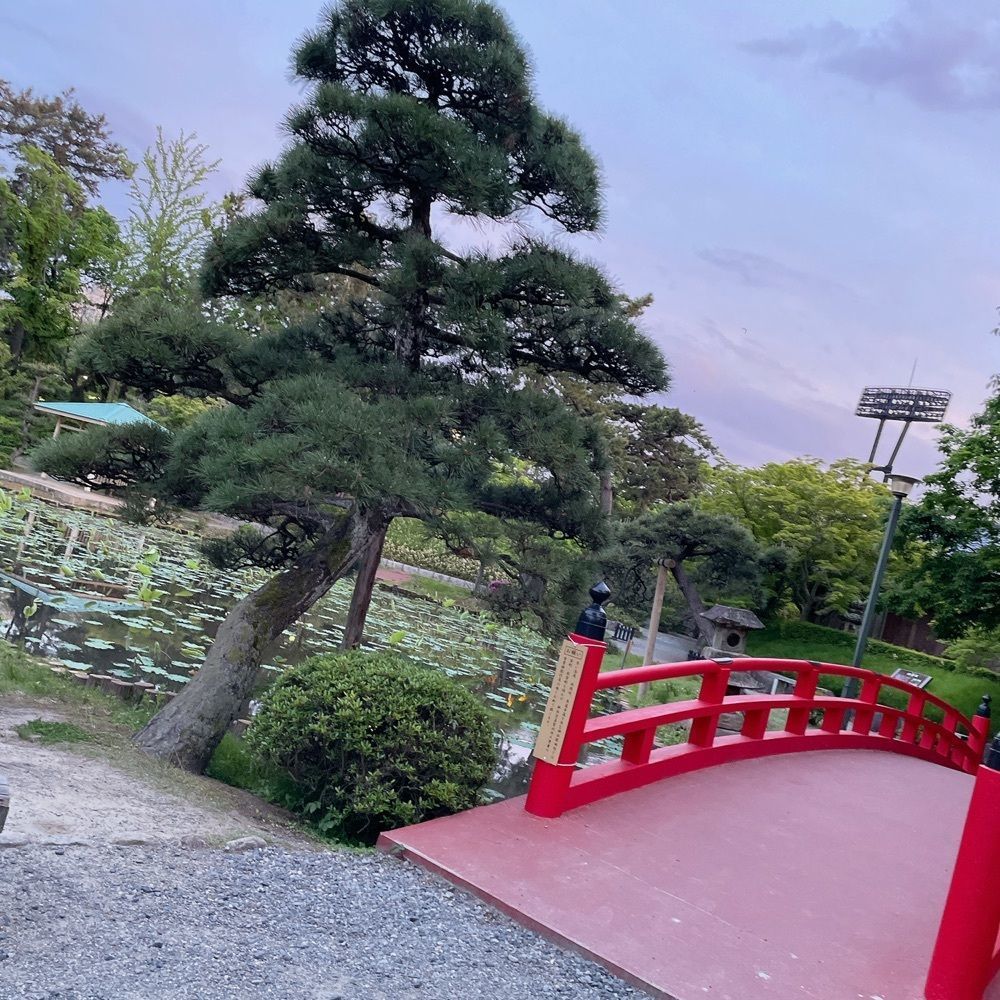 Danjouさんが投稿した白山神社に関する口コミの画像