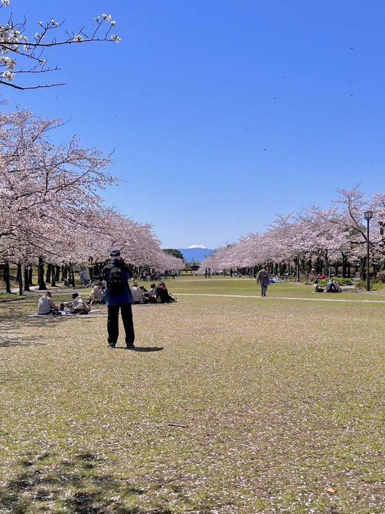 yuyuさんが投稿した宝野公園に関する口コミの画像